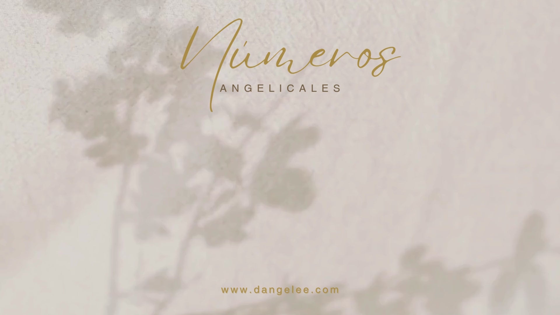 Cargar video: 